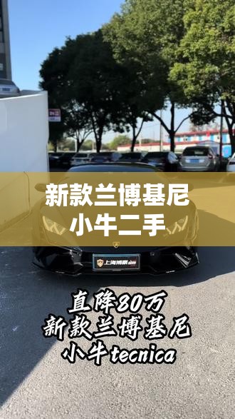 新款兰博基尼小牛二手(14年兰博基尼小牛二手)