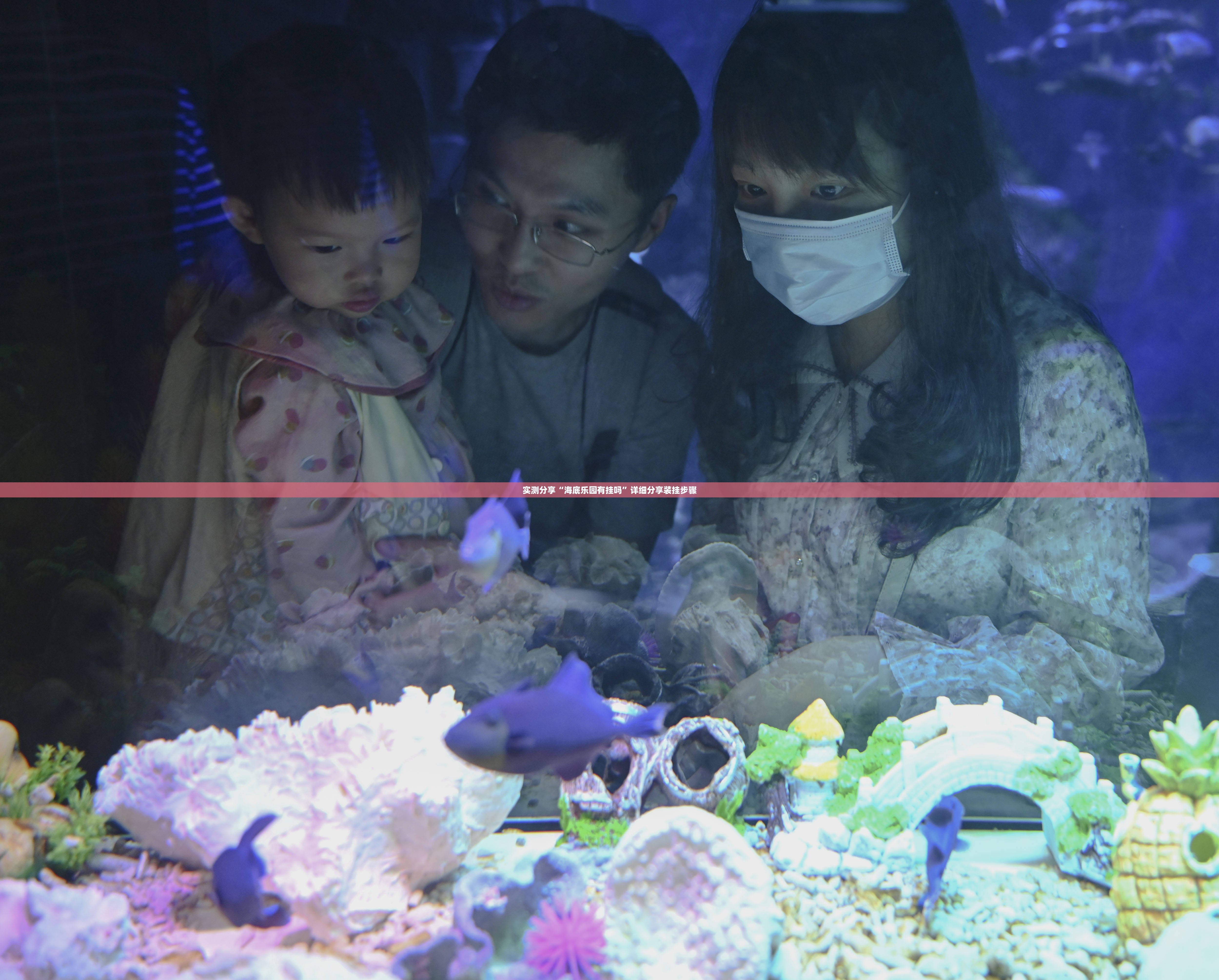 实测分享“海底乐园有挂吗	”详细分享装挂步骤