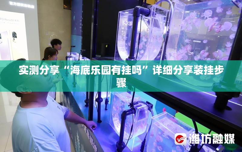 实测分享“海底乐园有挂吗”详细分享装挂步骤