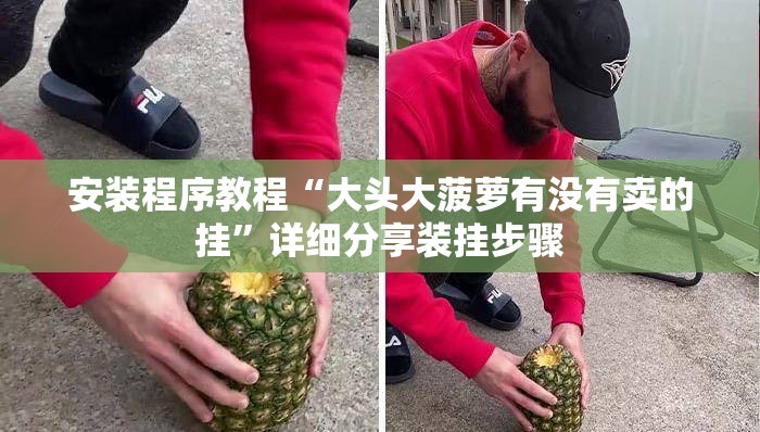 安装程序教程“大头大菠萝有没有卖的挂”详细分享装挂步骤