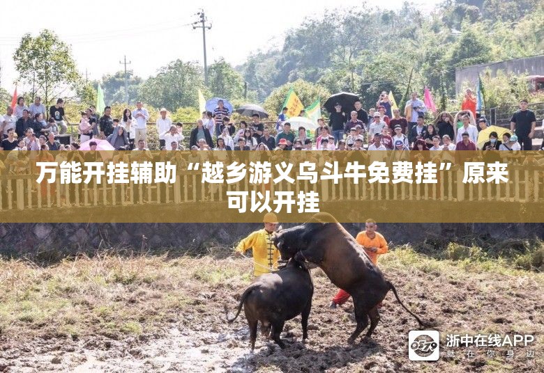 万能开挂辅助“越乡游义乌斗牛免费挂	”原来可以开挂