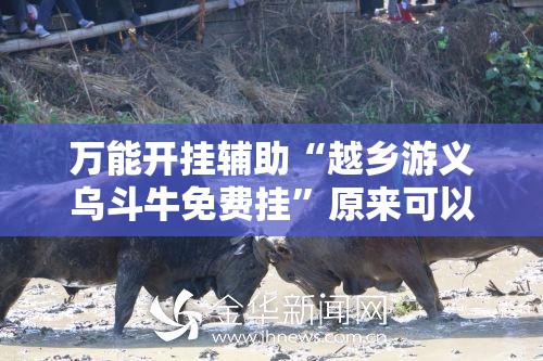 万能开挂辅助“越乡游义乌斗牛免费挂”原来可以开挂