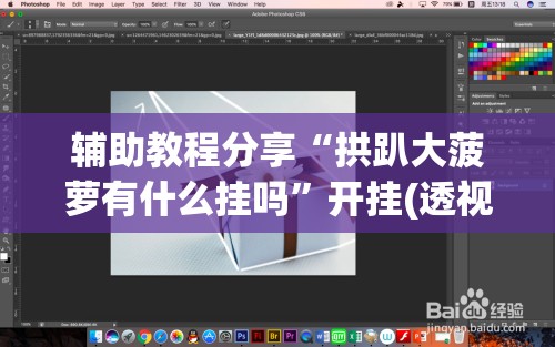 辅助教程分享“拱趴大菠萝有什么挂吗”开挂(透视)辅助教程