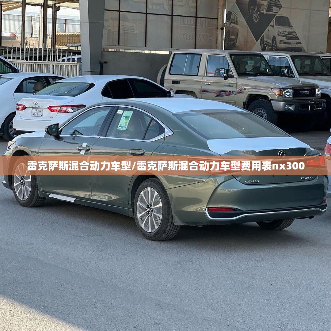 雷克萨斯混合动力车型/雷克萨斯混合动力车型费用表nx300