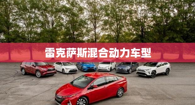 雷克萨斯混合动力车型/雷克萨斯混合动力车型费用表nx300