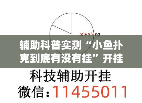 辅助科普实测“小鱼扑克到底有没有挂	”开挂(透视)辅助教程