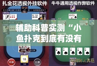 辅助科普实测“小鱼扑克到底有没有挂”开挂(透视)辅助教程