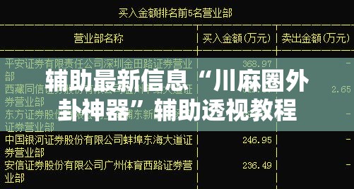 辅助最新信息“川麻圈外卦神器	”辅助透视教程