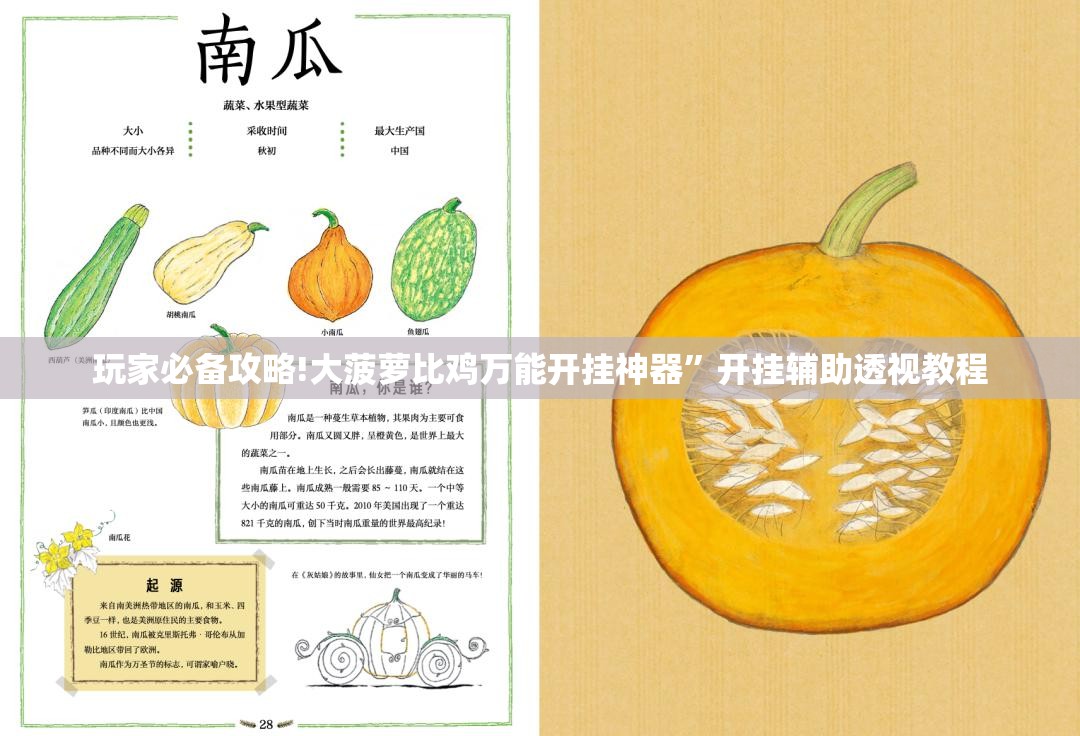 玩家必备攻略!大菠萝比鸡万能开挂神器”开挂辅助透视教程