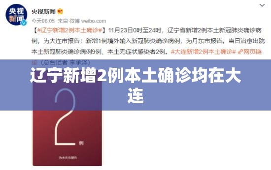 辽宁新增2例本土确诊均在大连/辽宁的孩子去大连上学交医保本地的医保还用停 辽宁新增2例本土确诊均在大连/辽宁的孩子去大连上学交医保本地的医保还用停