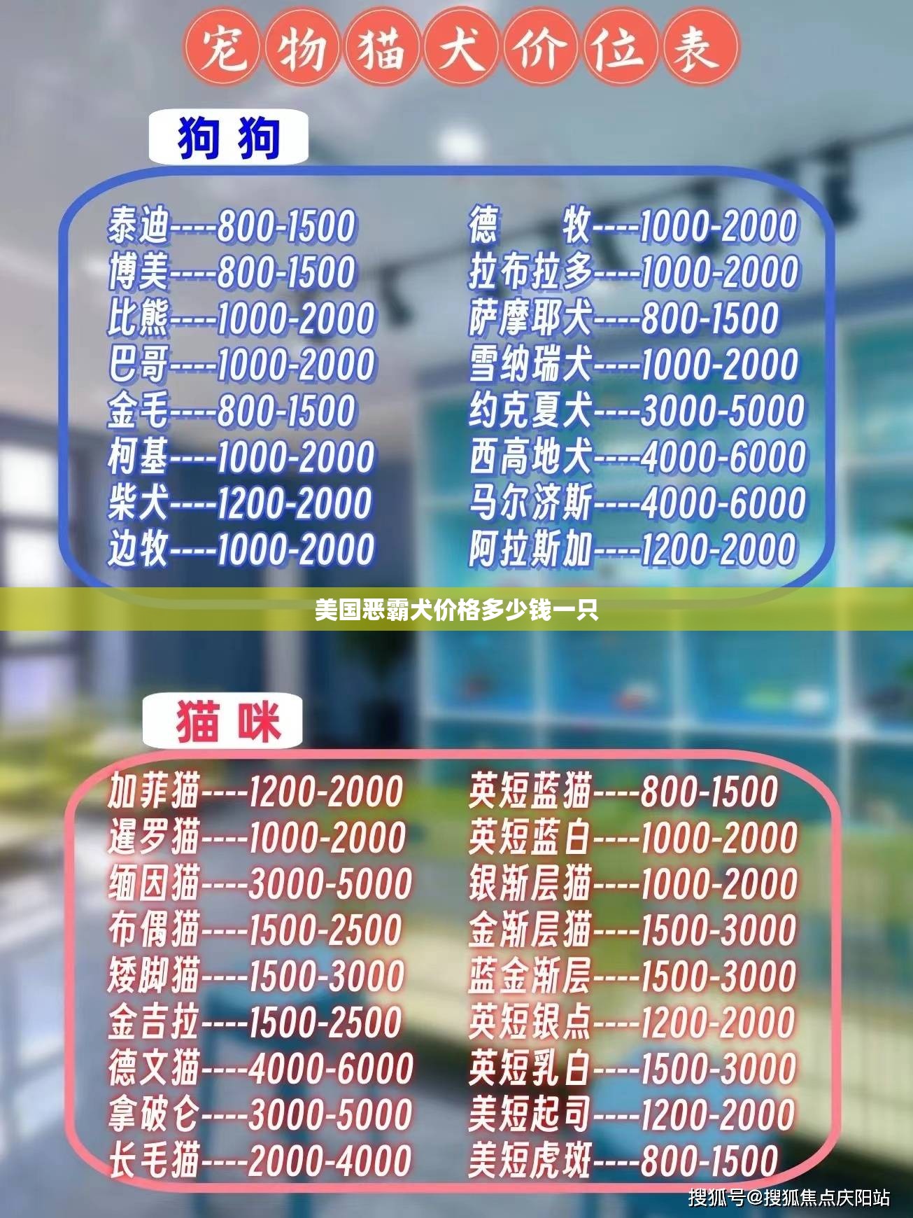 美国恶霸犬价格多少钱一只 美国恶霸犬价格多少钱一只