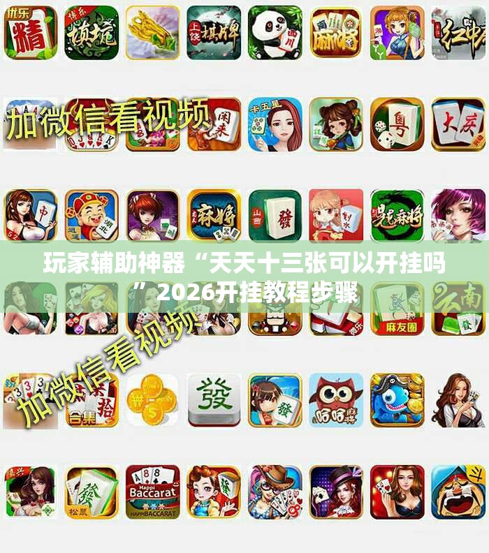 玩家辅助神器“天天十三张可以开挂吗”2026开挂教程步骤