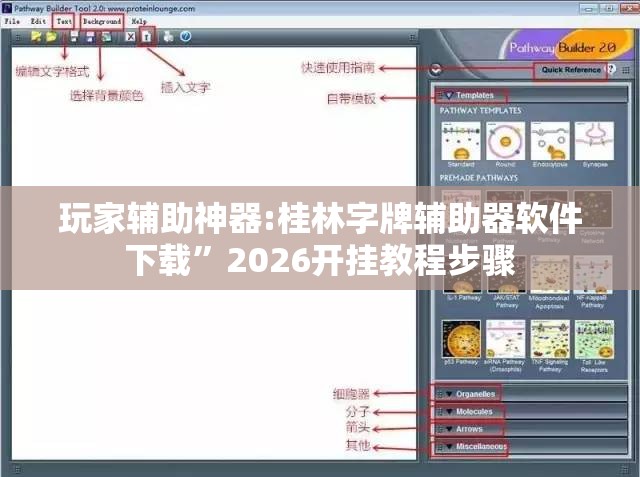玩家辅助神器:桂林字牌辅助器软件下载”2026开挂教程步骤