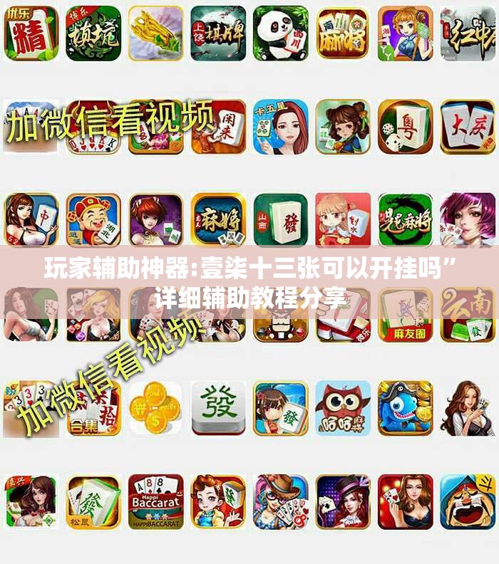 玩家辅助神器:壹柒十三张可以开挂吗”详细辅助教程分享