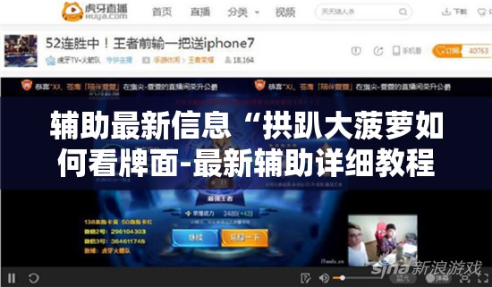 辅助最新信息“拱趴大菠萝如何看牌面-最新辅助详细教程