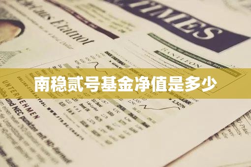 南稳贰号基金净值是多少