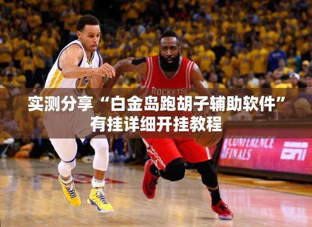 实测分享“白金岛跑胡子辅助软件”有挂详细开挂教程