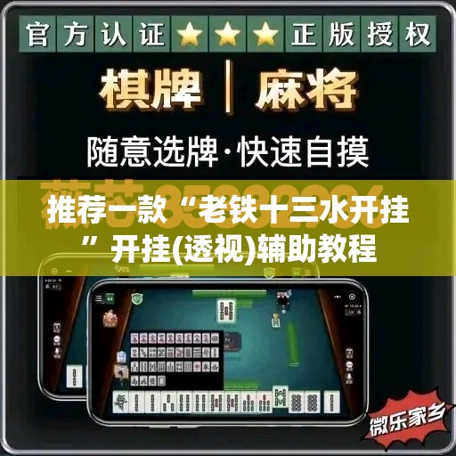 推荐一款“老铁十三水开挂”开挂(透视)辅助教程