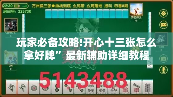玩家必备攻略!开心十三张怎么拿好牌	”最新辅助详细教程
