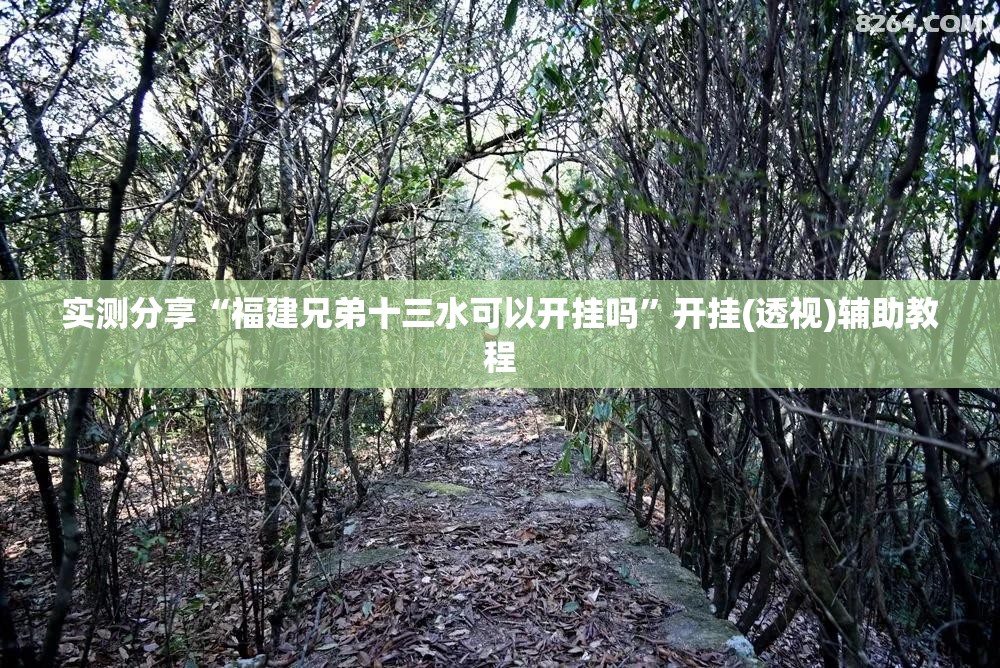 实测分享“福建兄弟十三水可以开挂吗”开挂(透视)辅助教程