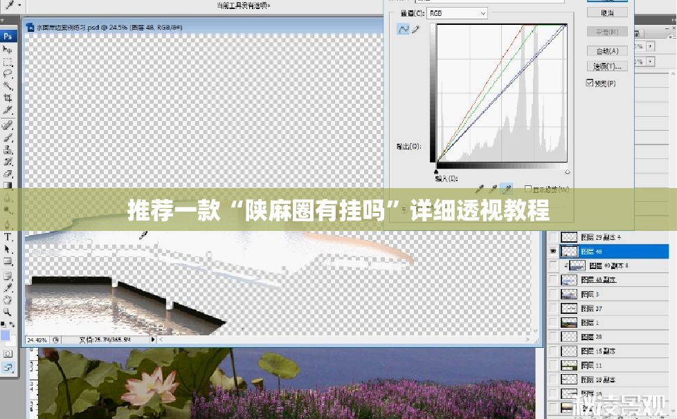 推荐一款“陕麻圈有挂吗	”详细透视教程