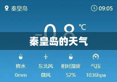 秦皇岛的天气