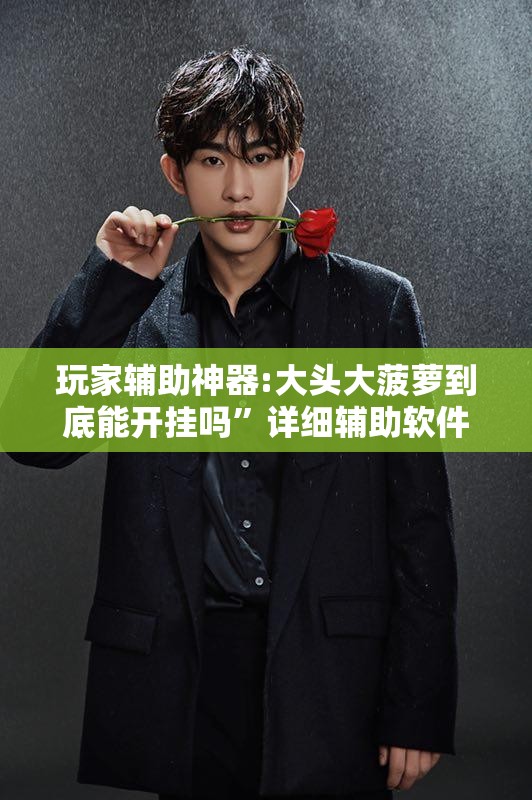 玩家辅助神器:大头大菠萝到底能开挂吗	”详细辅助软件教程