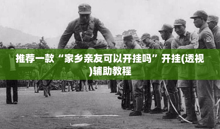 推荐一款“家乡亲友可以开挂吗”开挂(透视)辅助教程