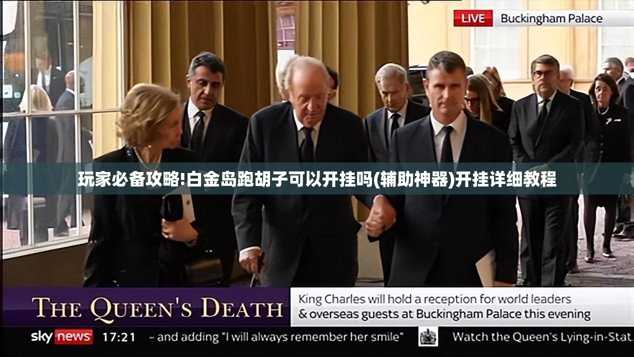 玩家必备攻略!白金岛跑胡子可以开挂吗(辅助神器)开挂详细教程