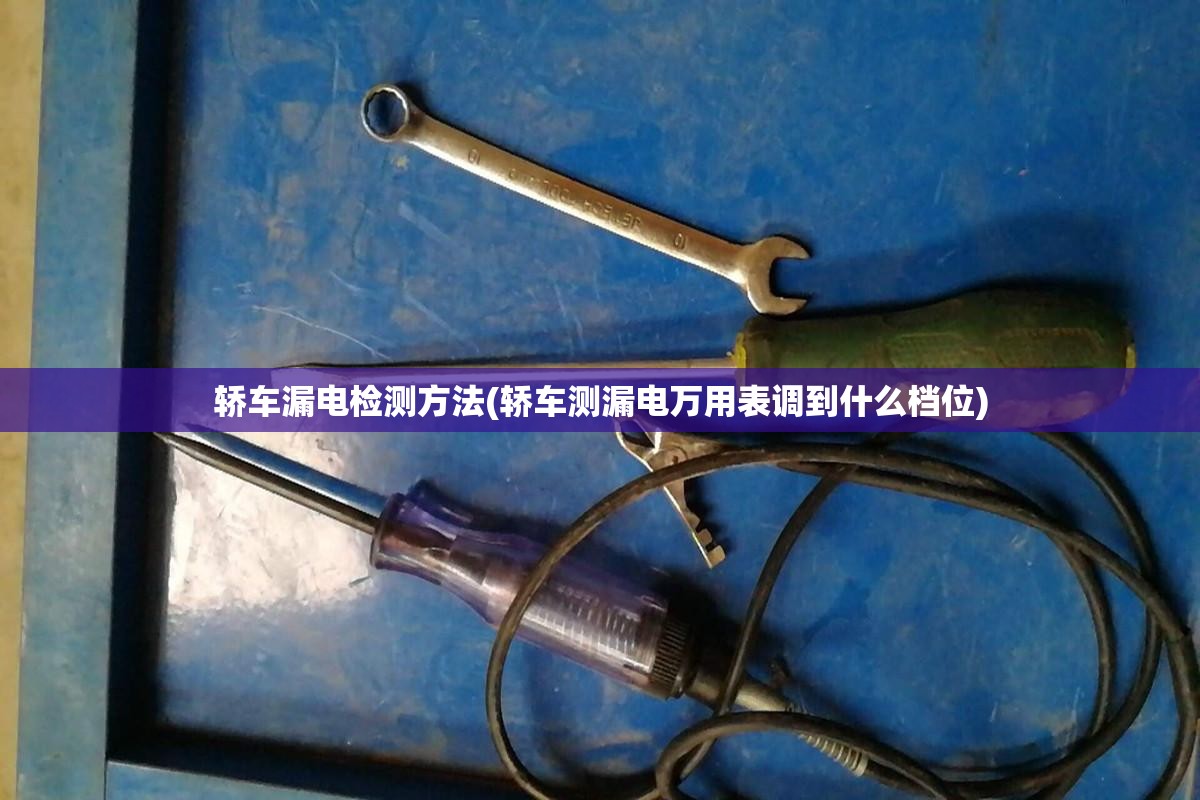 轿车漏电检测方法(轿车测漏电万用表调到什么档位)