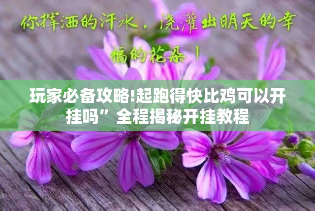 玩家必备攻略!起跑得快比鸡可以开挂吗”全程揭秘开挂教程