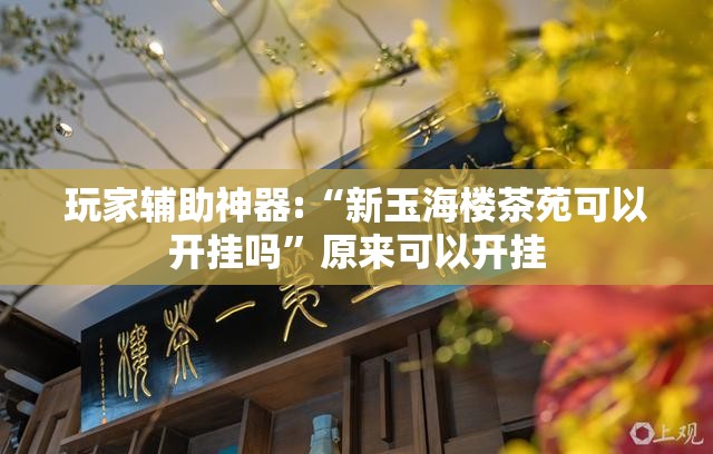 玩家辅助神器:“新玉海楼茶苑可以开挂吗”原来可以开挂