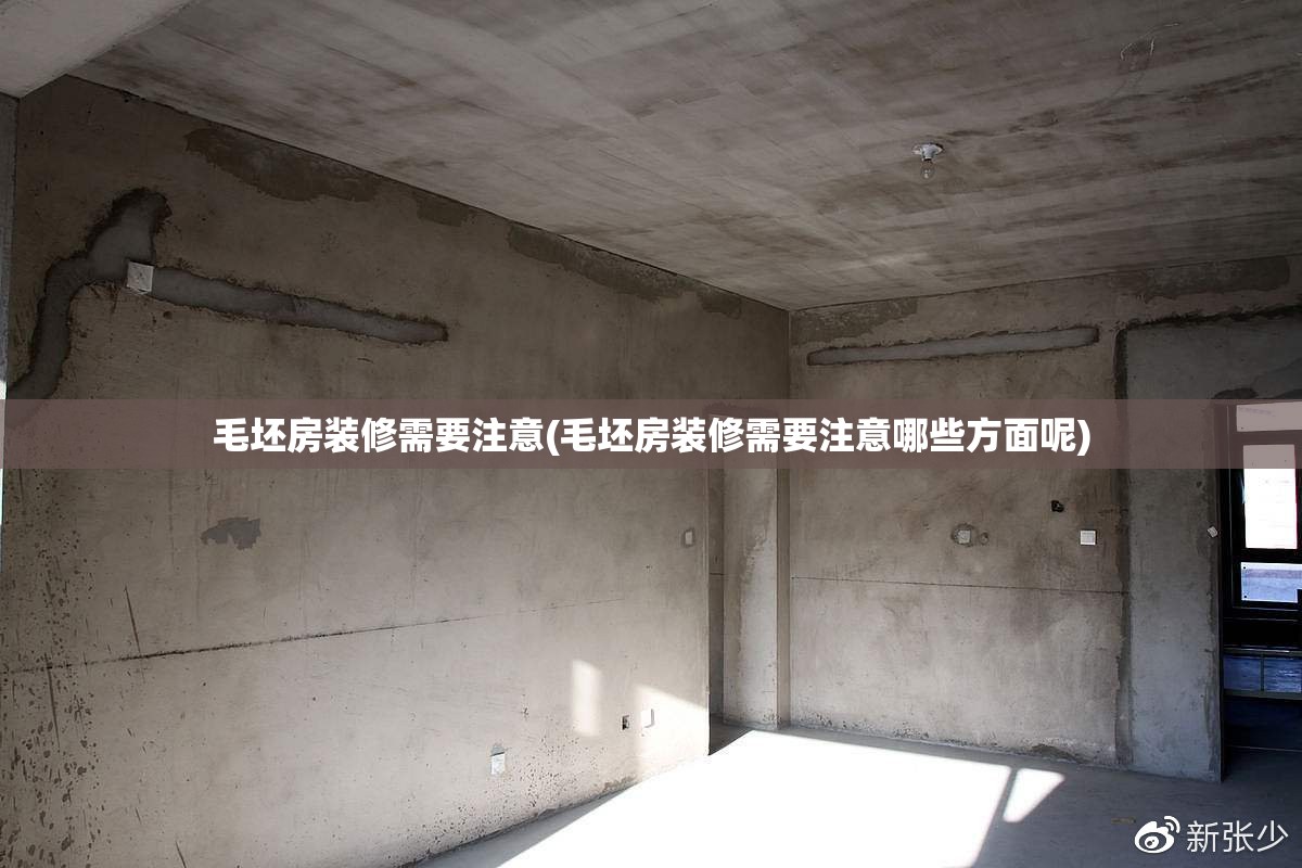 毛坯房装修需要注意(毛坯房装修需要注意哪些方面呢)