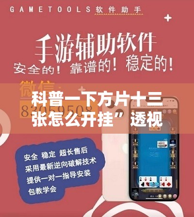 科普一下方片十三张怎么开挂	”透视开挂辅助教程