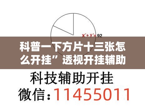 科普一下方片十三张怎么开挂”透视开挂辅助教程