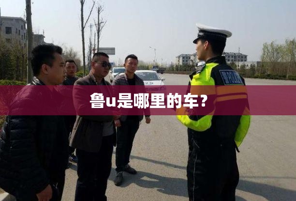 鲁u是哪里的车? 鲁u是哪里的车?
