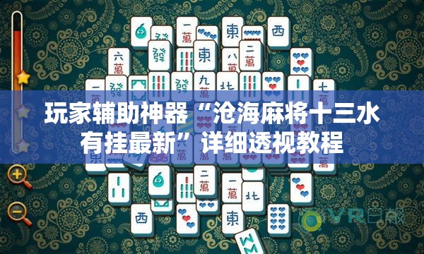 玩家辅助神器“沧海麻将十三水有挂最新”详细透视教程