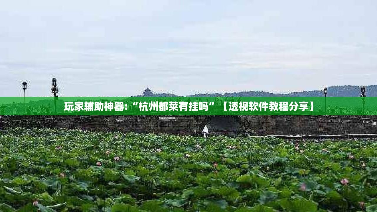 玩家辅助神器:“杭州都莱有挂吗”【透视软件教程分享】