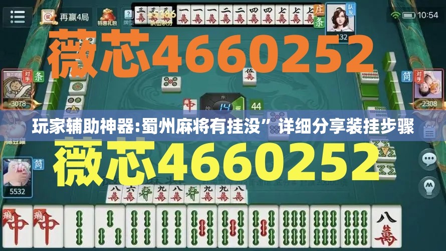 玩家辅助神器:蜀州麻将有挂没”详细分享装挂步骤