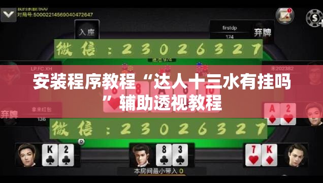 安装程序教程“达人十三水有挂吗”辅助透视教程