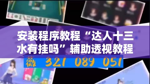 安装程序教程“达人十三水有挂吗”辅助透视教程