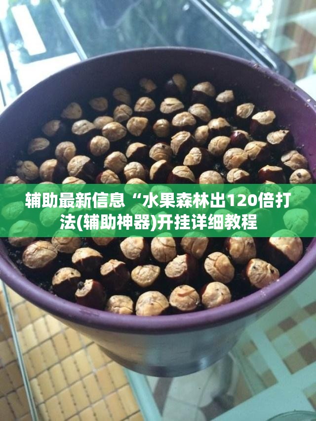 辅助最新信息“水果森林出120倍打法(辅助神器)开挂详细教程