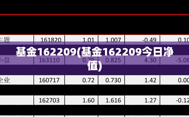 基金162209(基金162209今日净值) 基金162209(基金162209今日净值)