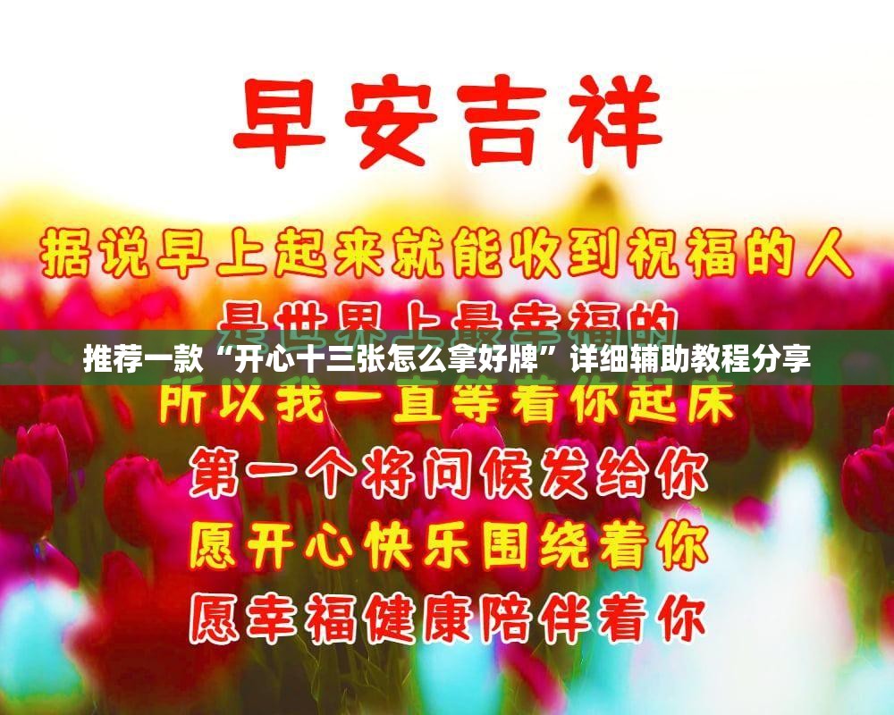 推荐一款“开心十三张怎么拿好牌”详细辅助教程分享