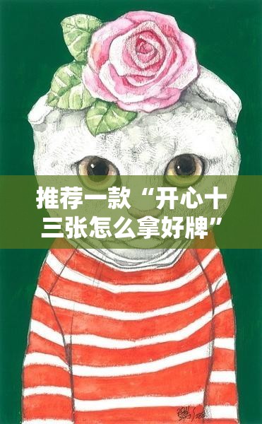 推荐一款“开心十三张怎么拿好牌”详细辅助教程分享