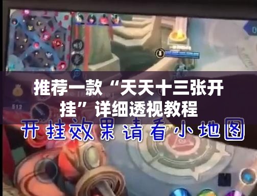 推荐一款“天天十三张开挂”详细透视教程