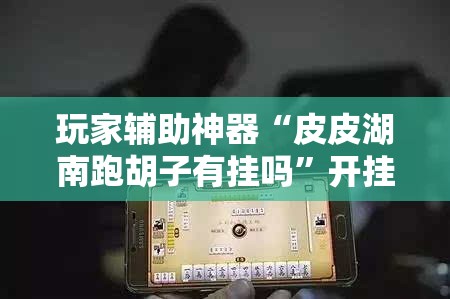 玩家辅助神器“皮皮湖南跑胡子有挂吗”开挂辅助透视教程