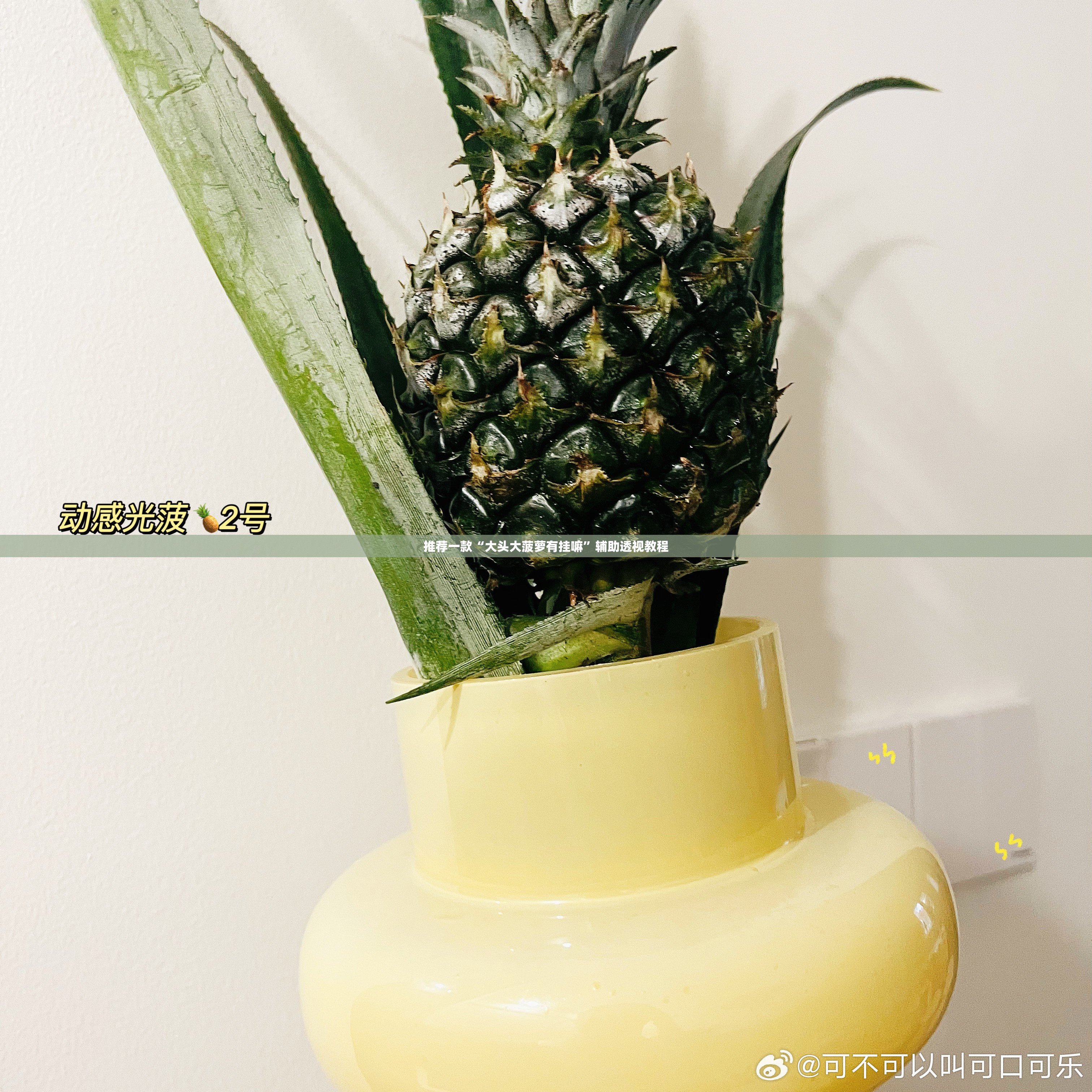 推荐一款“大头大菠萝有挂嘛”辅助透视教程