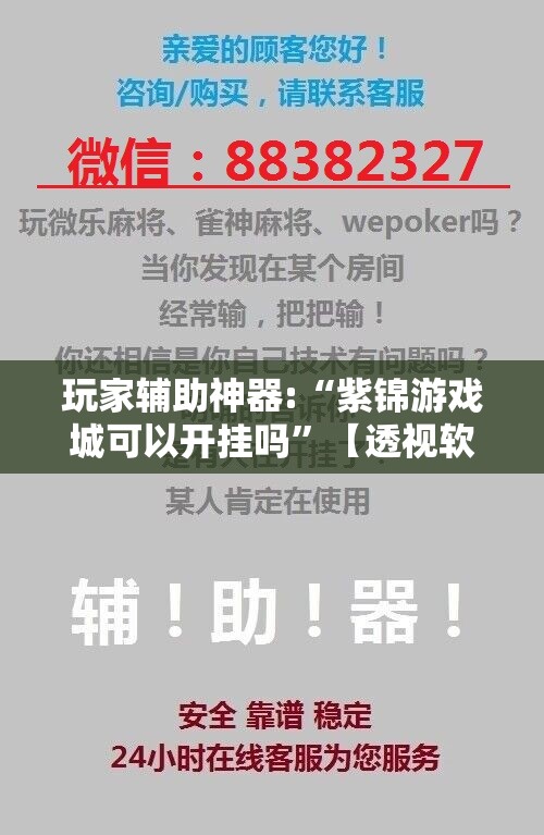 玩家辅助神器:“紫锦游戏城可以开挂吗”【透视软件教程分享】