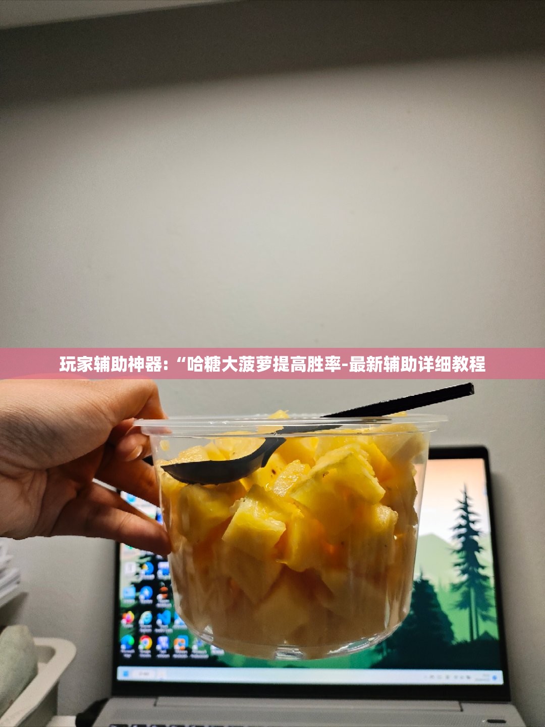 玩家辅助神器:“哈糖大菠萝提高胜率-最新辅助详细教程